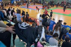 IMG-20240204-WA0016